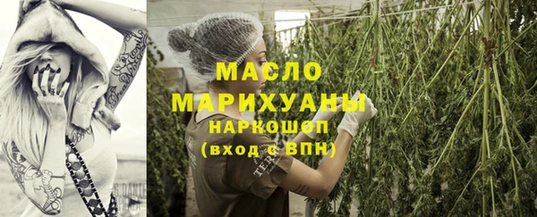 прущий лед Инсар