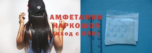 mix Инта