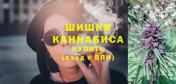 прущий лед Инсар