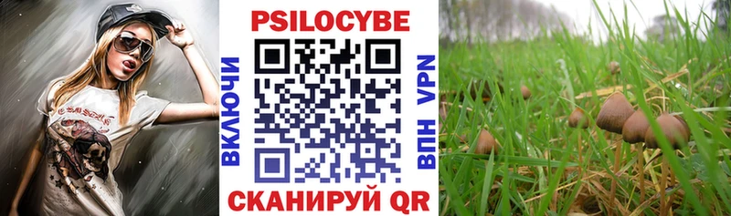 Псилоцибиновые грибы мухоморы  Купить  Сенгилей 